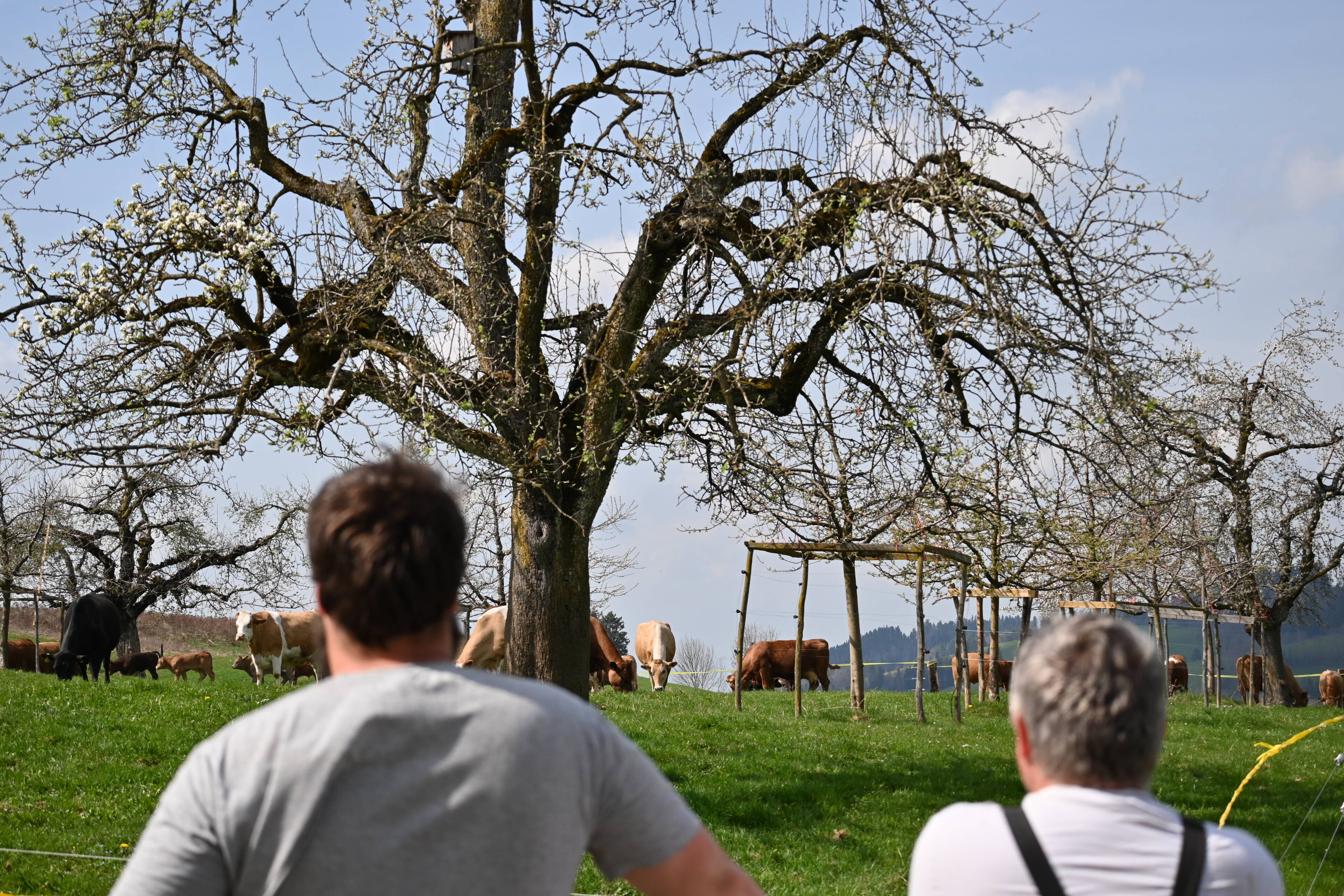 Vater und Sohn